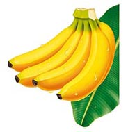 バナナのリアルイラスト　果物　パッケージ