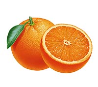 オレンジのリアルイラスト　果物　パッケージ