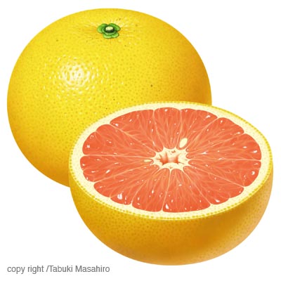 sNO[vt[cgrapefruit