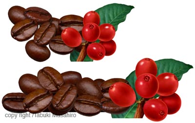 R[q[ coffee beans