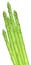 asparagus