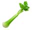celery1