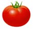 tomato5