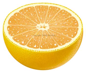 grapefruit-cut1
