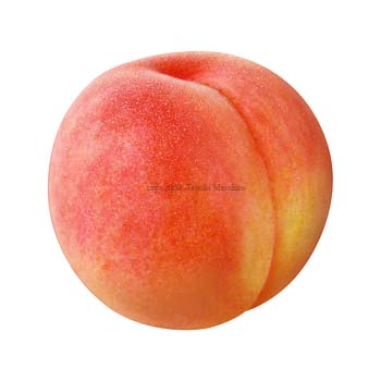 peach5