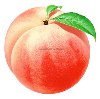 peach7