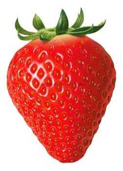 䕁@C`S strawberry