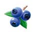 blueberry5