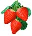 strawberry3