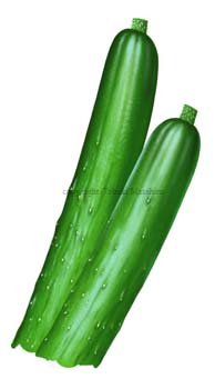 L[ cucumber