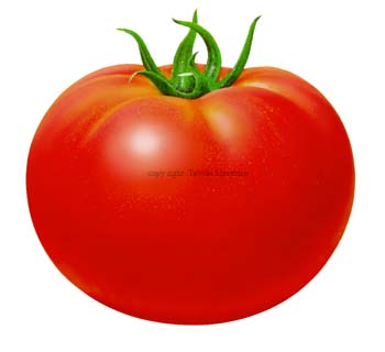 g}g tomato5